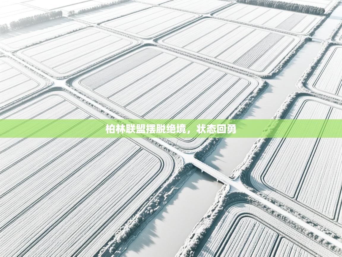 柏林联盟摆脱绝境，状态回勇  第2张