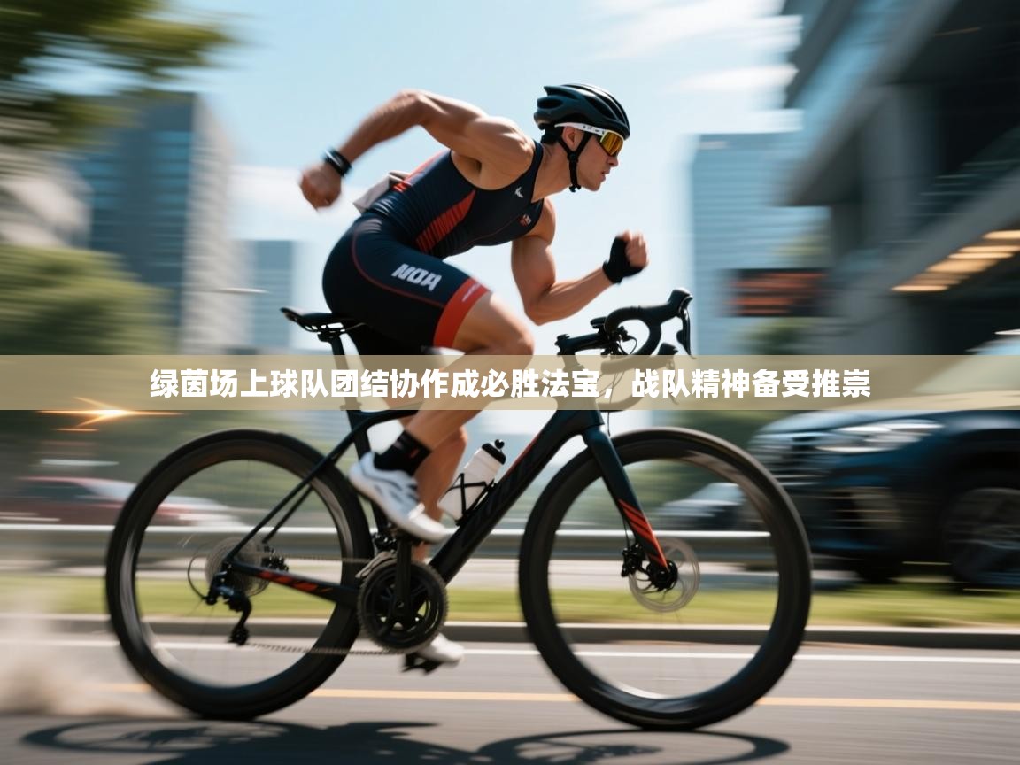 绿茵场上球队团结协作成必胜法宝，战队精神备受推崇  第1张