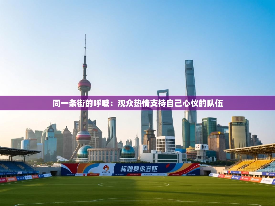 同一条街的呼喊：观众热情支持自己心仪的队伍  第2张